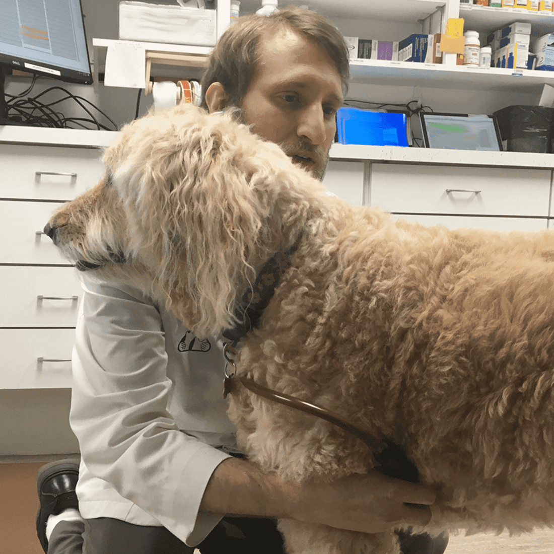 Digital Stethoscopes for Veterinarians