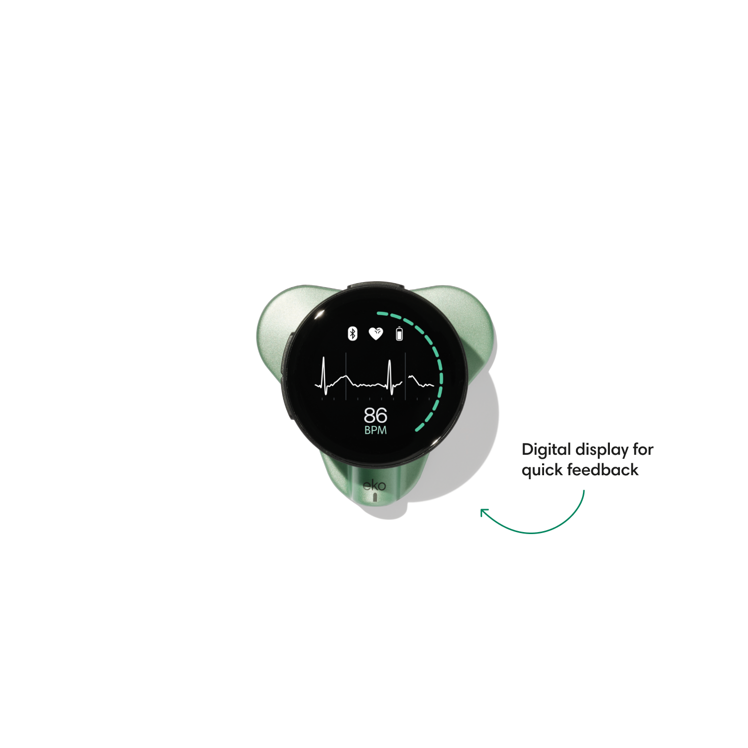 Color: Wintergreen for Main Product