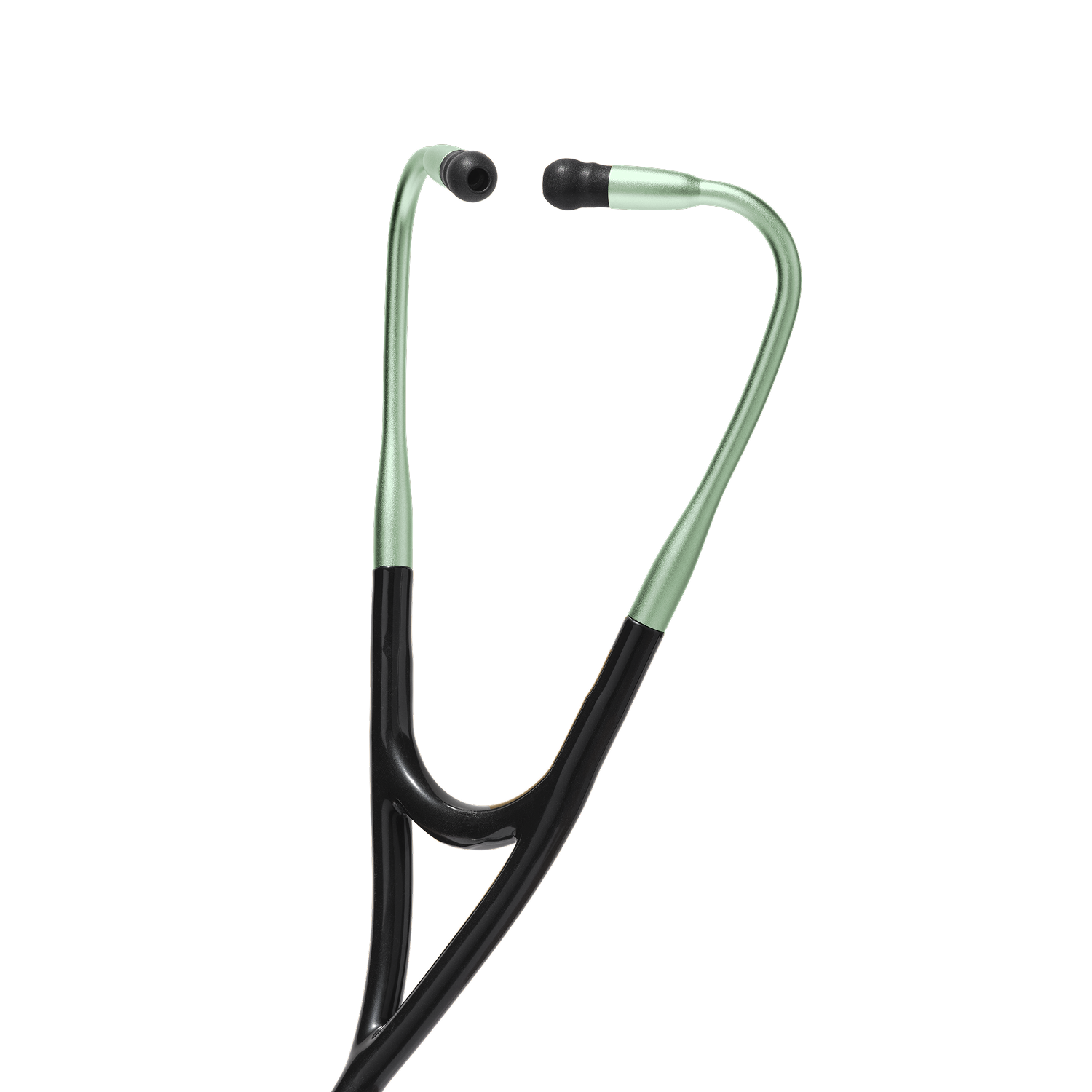 Color: Wintergreen for Main Product