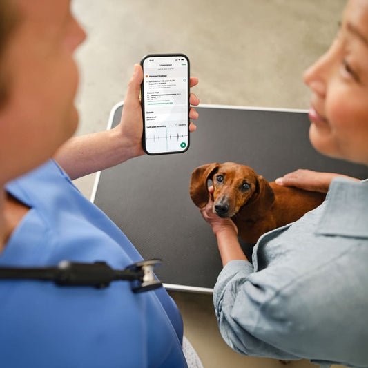 dvm360: How AI Can Help Veterinarians Detect Heart Murmurs Earlier