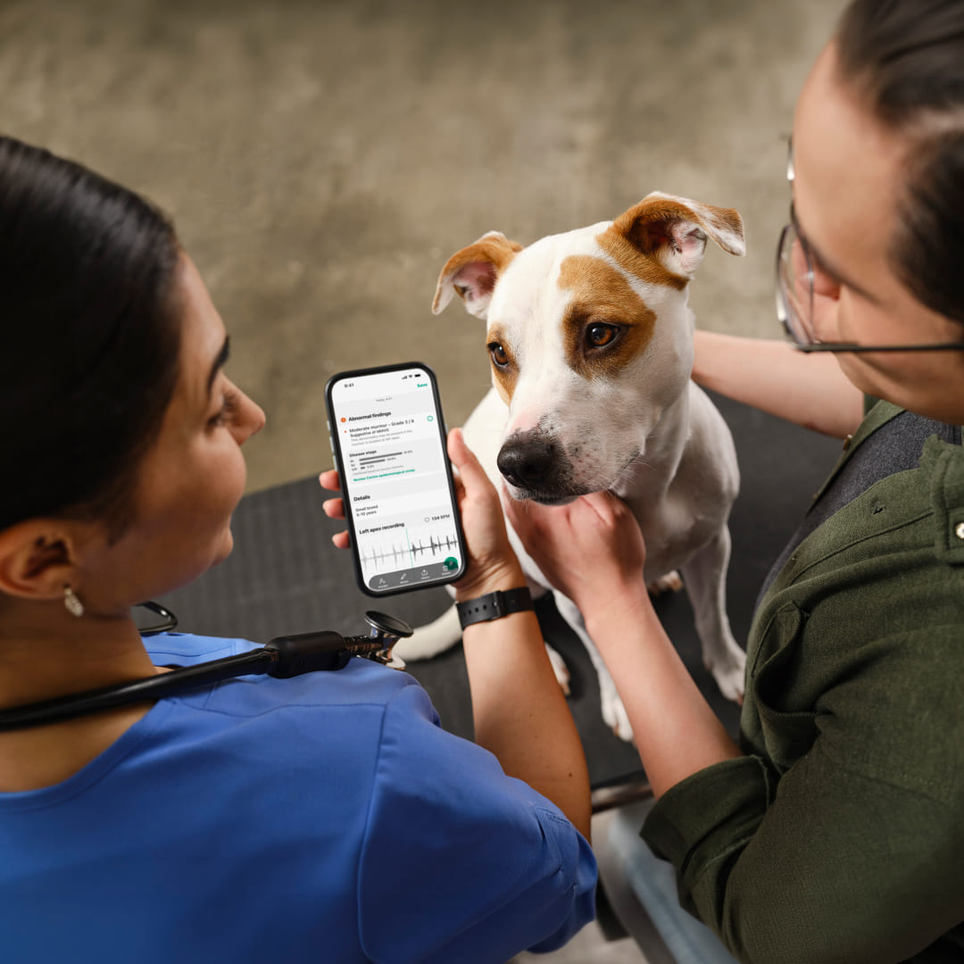 Mummer Detection Eko Health | AI-Powered Heart Murmur Detection for Dogs