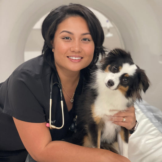 Eko Helps Veterinary Tech Bring Clarity to Every Exam