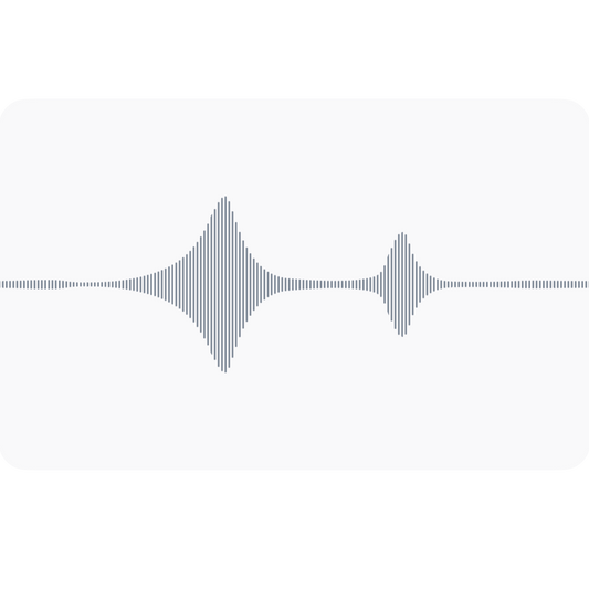 Phonocardiogram (PCG)