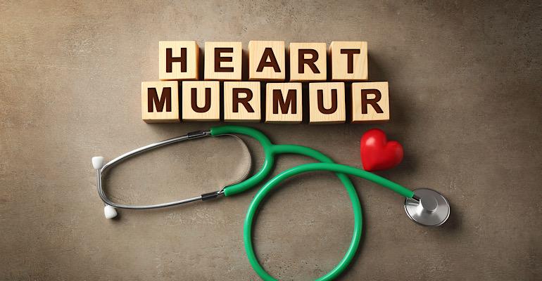 Blocks spell out "heart murmur" above an analog stethoscope