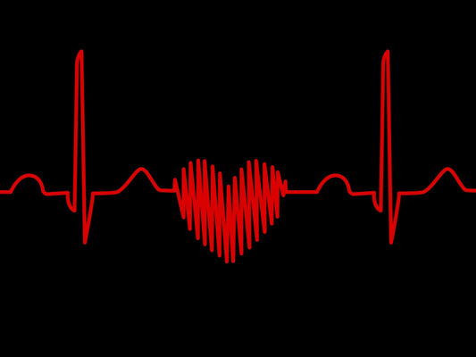 TechCrunch: With a New $20 Million in Funding, Electronic Stethoscope Startup Eko Wants To Research Your Beating Heart
