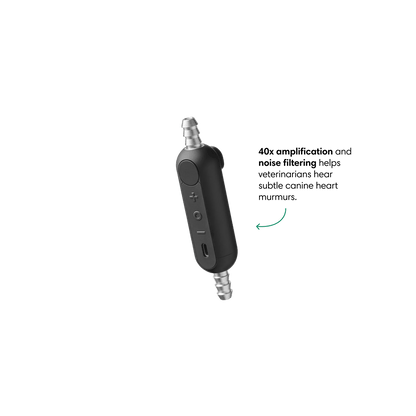 Color: Black for Main Product