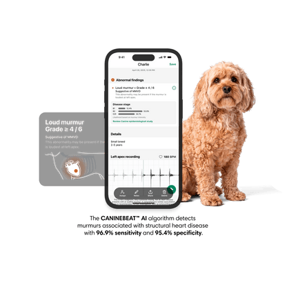 3M™ Littmann® CORE Digital Stethoscope