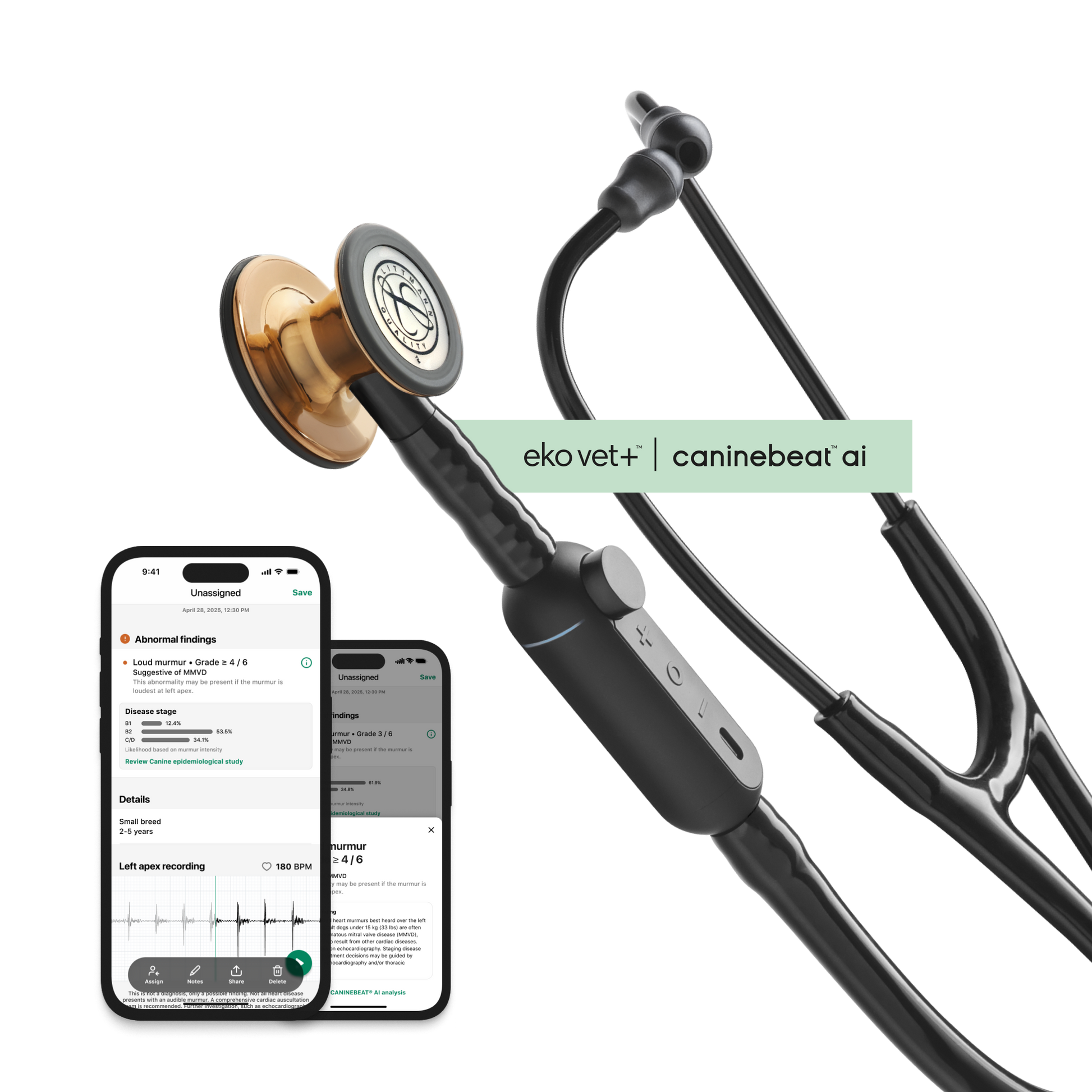 Color: High Polish Copper for Main Product