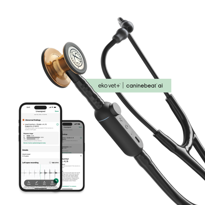 Color: High Polish Copper for Main Product