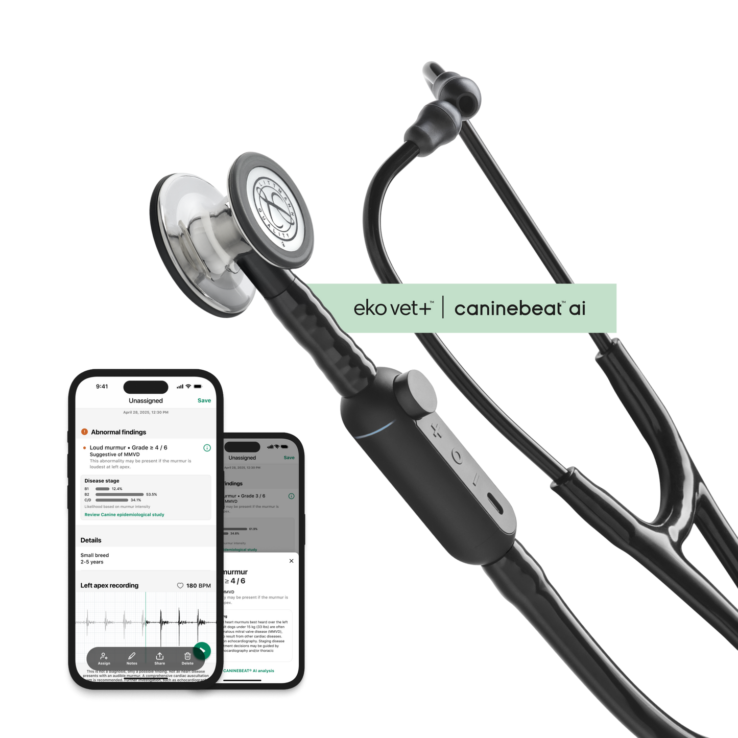 Color: High Polish Mirror for Main Product