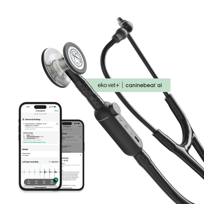 Color: High Polish Mirror for Main Product