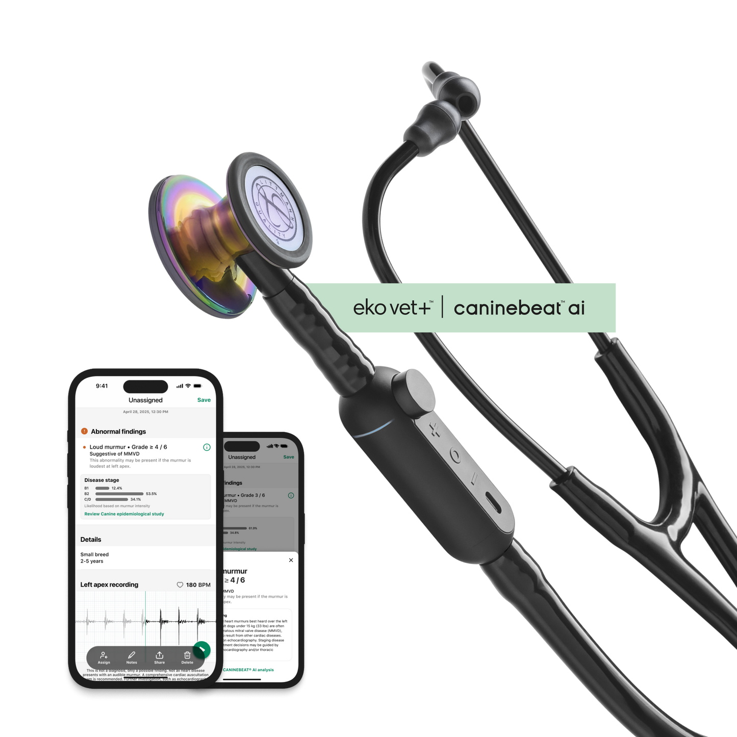 Color: High Polish Rainbow for Main Product