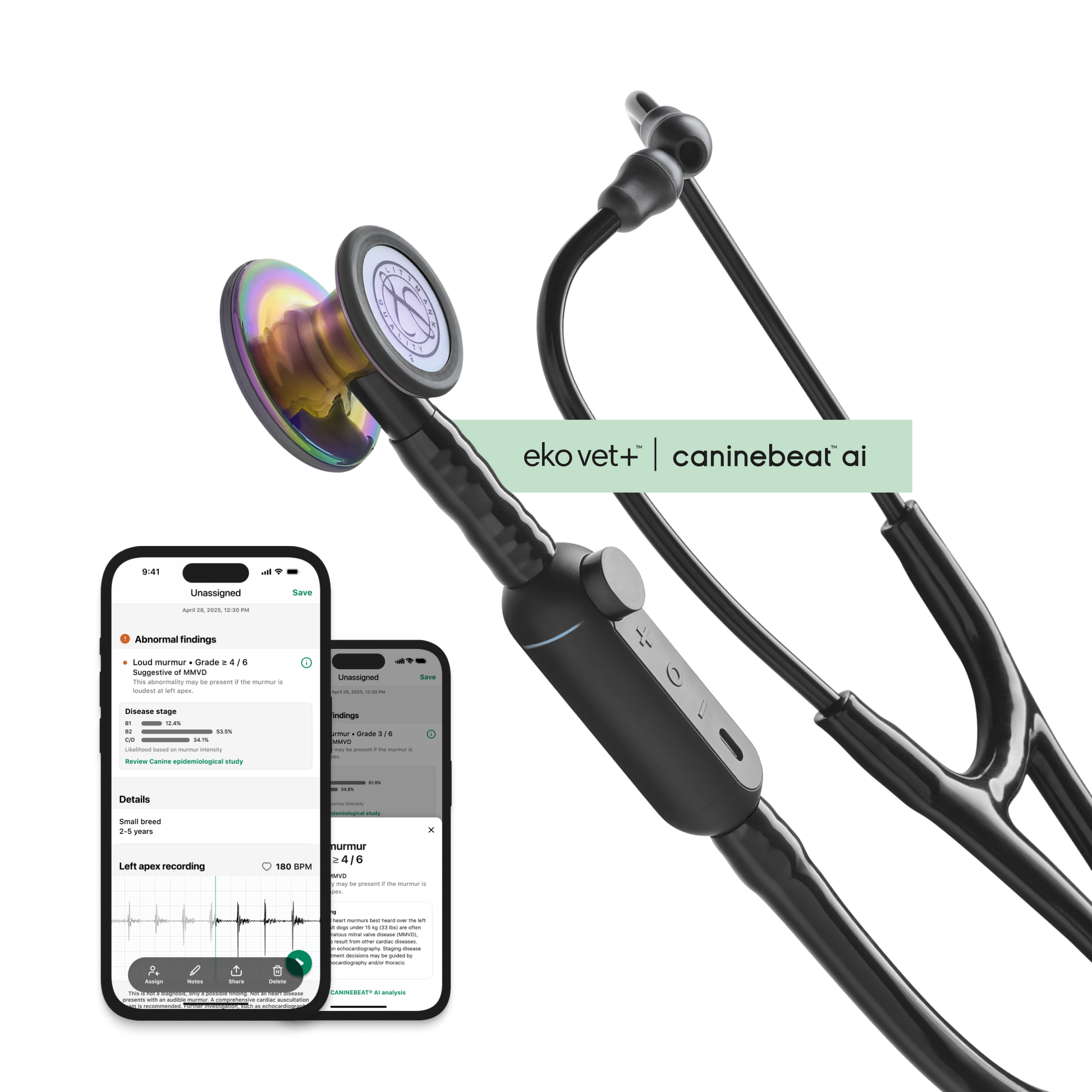 Color: High Polish Rainbow for Main Product