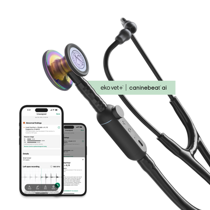 Color: High Polish Rainbow for Main Product