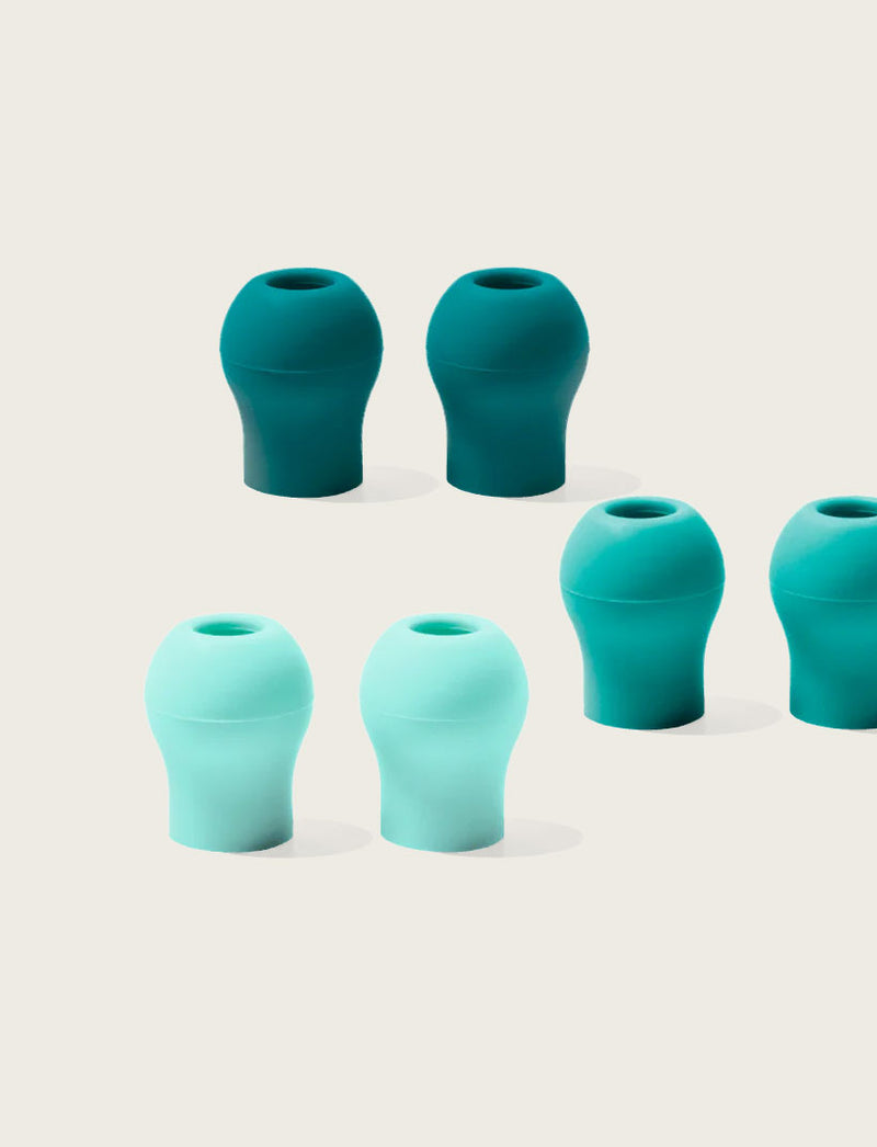 Rainforest Collection (6 pairs)